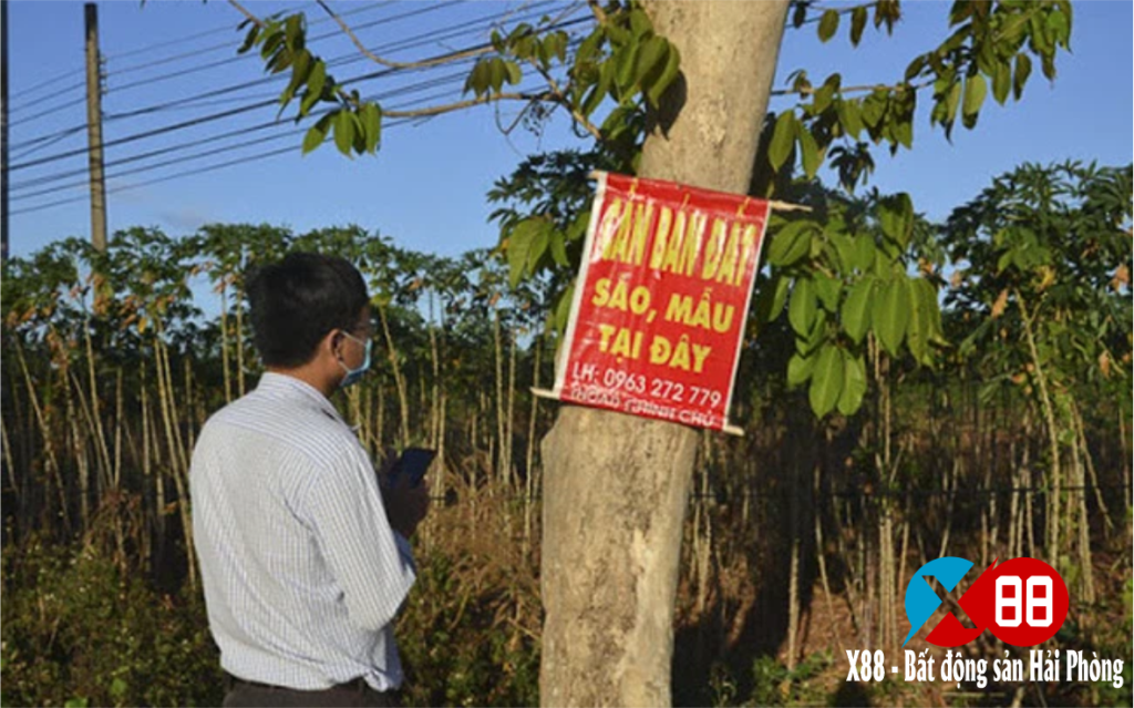 NHÀ ĐẦU TƯ KỲ CỰU BẬT MÍ BÍ QUYẾT GIÀU LÊN NHÀ BẤT ĐỘNG SẢN