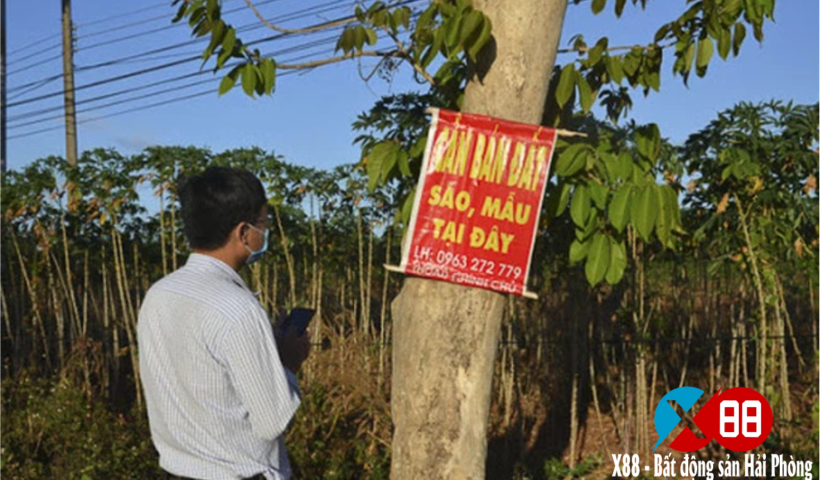NHÀ ĐẦU TƯ KỲ CỰU BẬT MÍ BÍ QUYẾT GIÀU LÊN NHÀ BẤT ĐỘNG SẢN