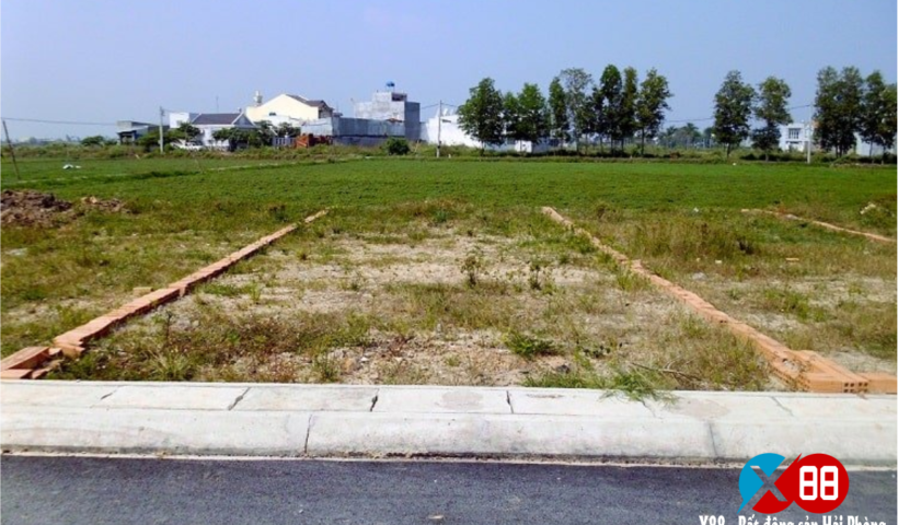 "MUA VÀNG THÌ LỖ, MUA THỔ THÌ LỜI"